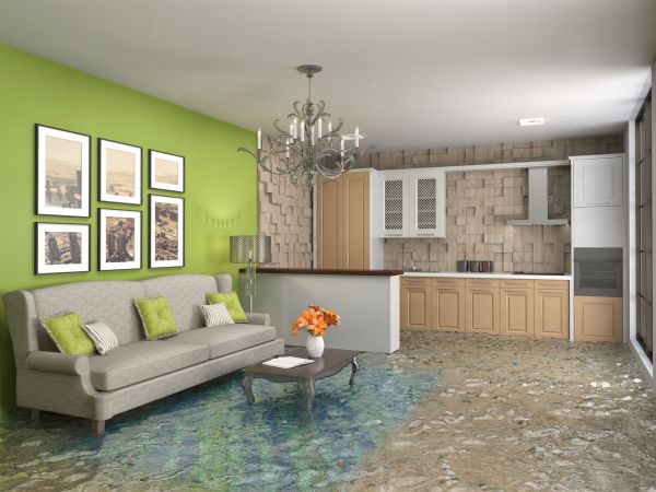 Cost of Wet Carpet Drying in Annapolis