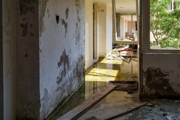 Cost of Water Removal Service in Annapolis