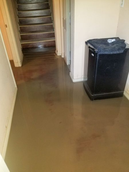 Cost of Emergency Water Removal in Annapolis