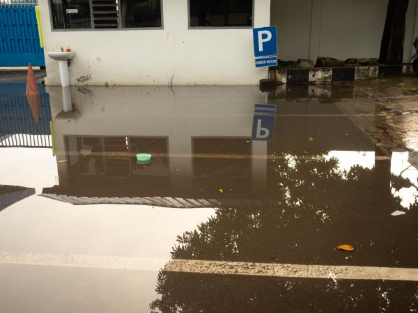 Cost of Storm Damage Repair in Annapolis