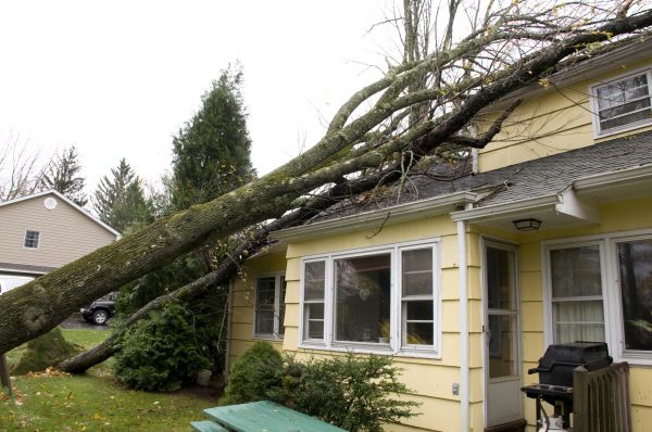 Cost of Hurricane Damage Repair in Annapolis